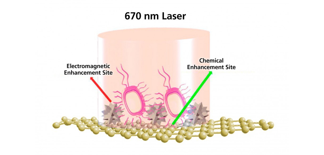 Popcorn-shaped gold nanoparticles result in electromagnetic enhancement of the SERS signal