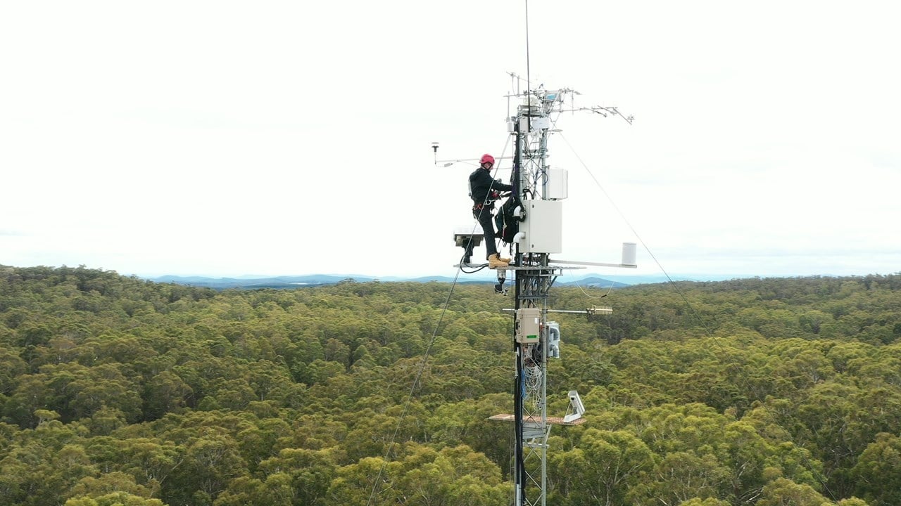 Man working on electric tower over tree tops