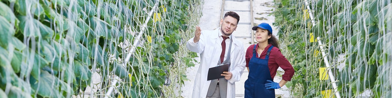 scientist and farmer in green house